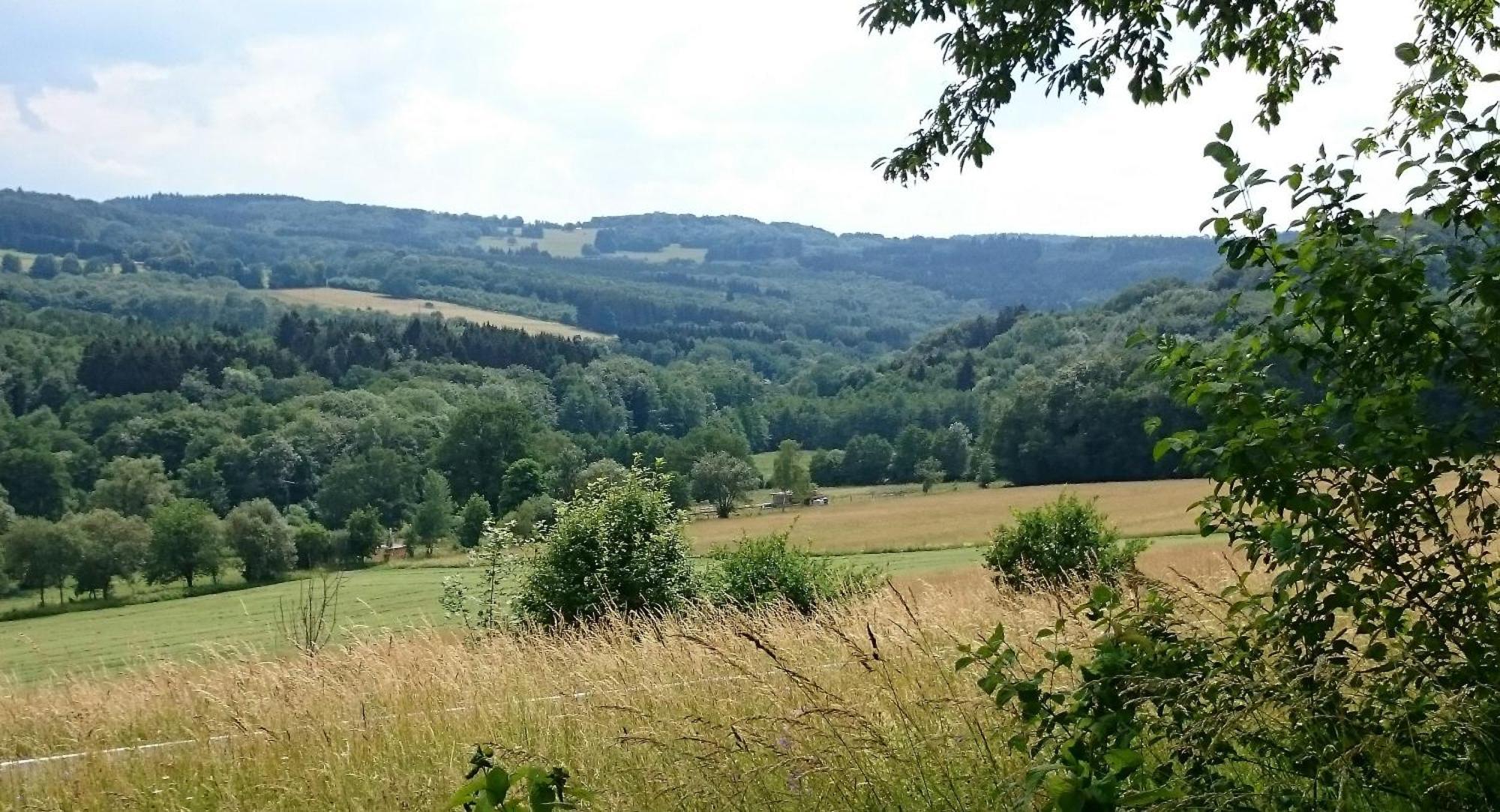 Ferienhaus Zur Schoenen Aussicht Hardt  Buitenkant foto