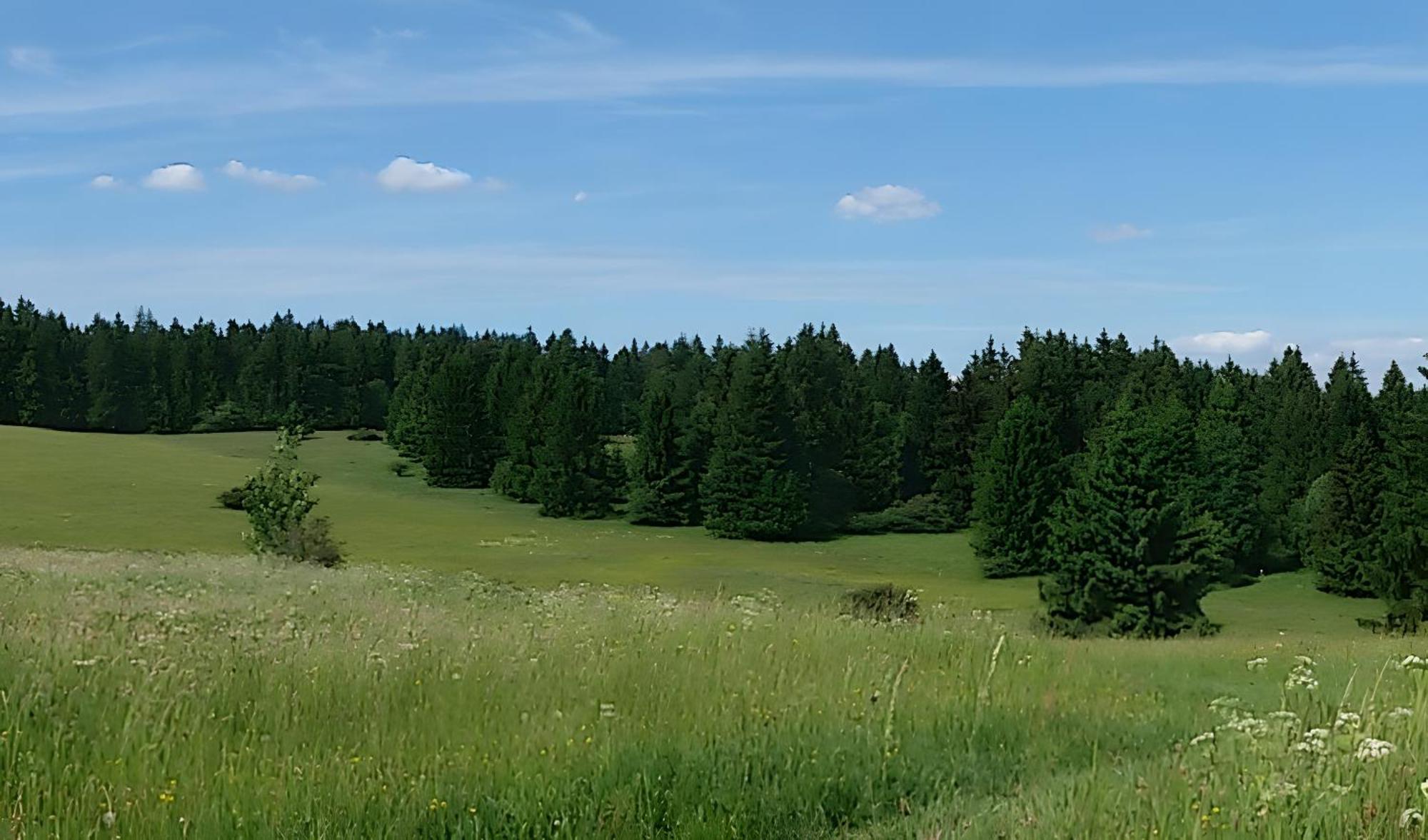 Ferienhaus Zur Schoenen Aussicht Hardt  Buitenkant foto