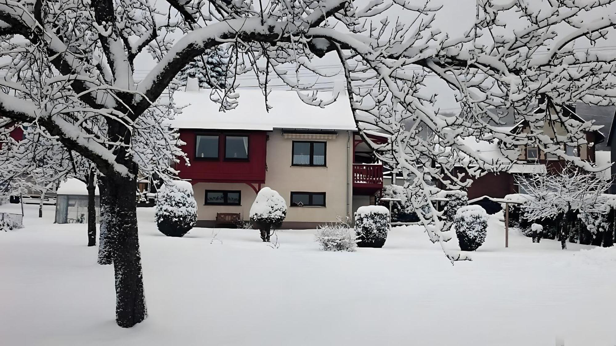 Ferienhaus Zur Schoenen Aussicht Hardt  Buitenkant foto